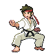 Karateka NB.png