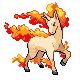 Rapidash