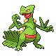 Sceptile DP.png