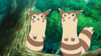 Furret