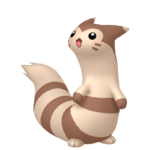 Furret macho