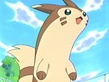 Furret