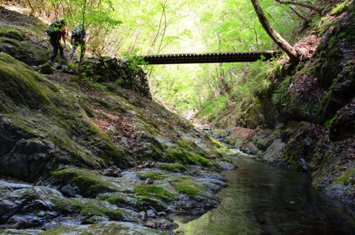 川苔山