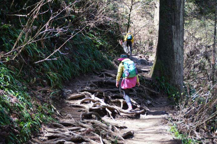 高尾山を登る人