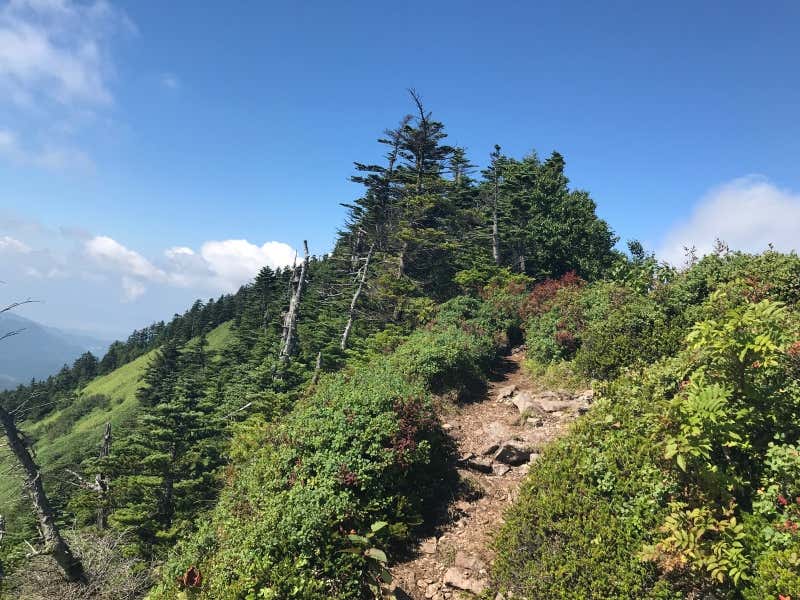 尾根歩き