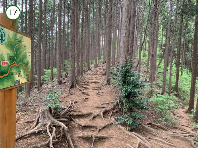 堂所山直登コースの分岐