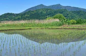 低山ながら隠れた名山の宝庫！？茨城県の山おすすめ8選
