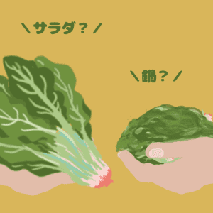 〈サラダ〉VS〈鍋〉 痩せたい人は野菜をどう食べればいいのか？ 管理栄養士が徹底解説