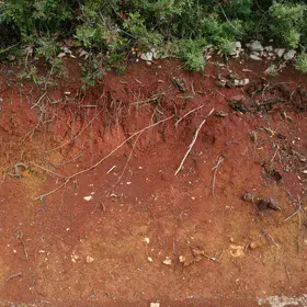 Terra rossa near São Brás de Alportel (southern Portugal)