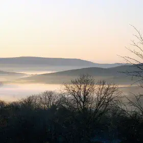 Fog conturing of a vally