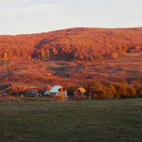 Autumn rhapsody of gullys 