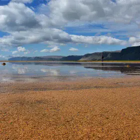 Rauðisandur, the red beach in Western Fjords, Iceland