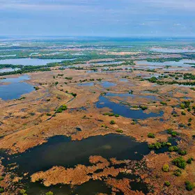 Beautiful image from Danube Delta