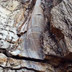 Example of a "twisted" fold from the Cap de Creus, Spain.