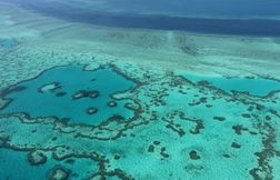 L’eau de la Grande Barrière de corail n’a jamais été aussi chaude