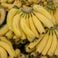 Près de 3,5 tonnes de cocaïne saisies au milieu des bananes au Portugal