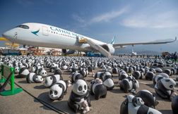 Hong Kong va exposer 2.500 sculptures de pandas en pleine rue