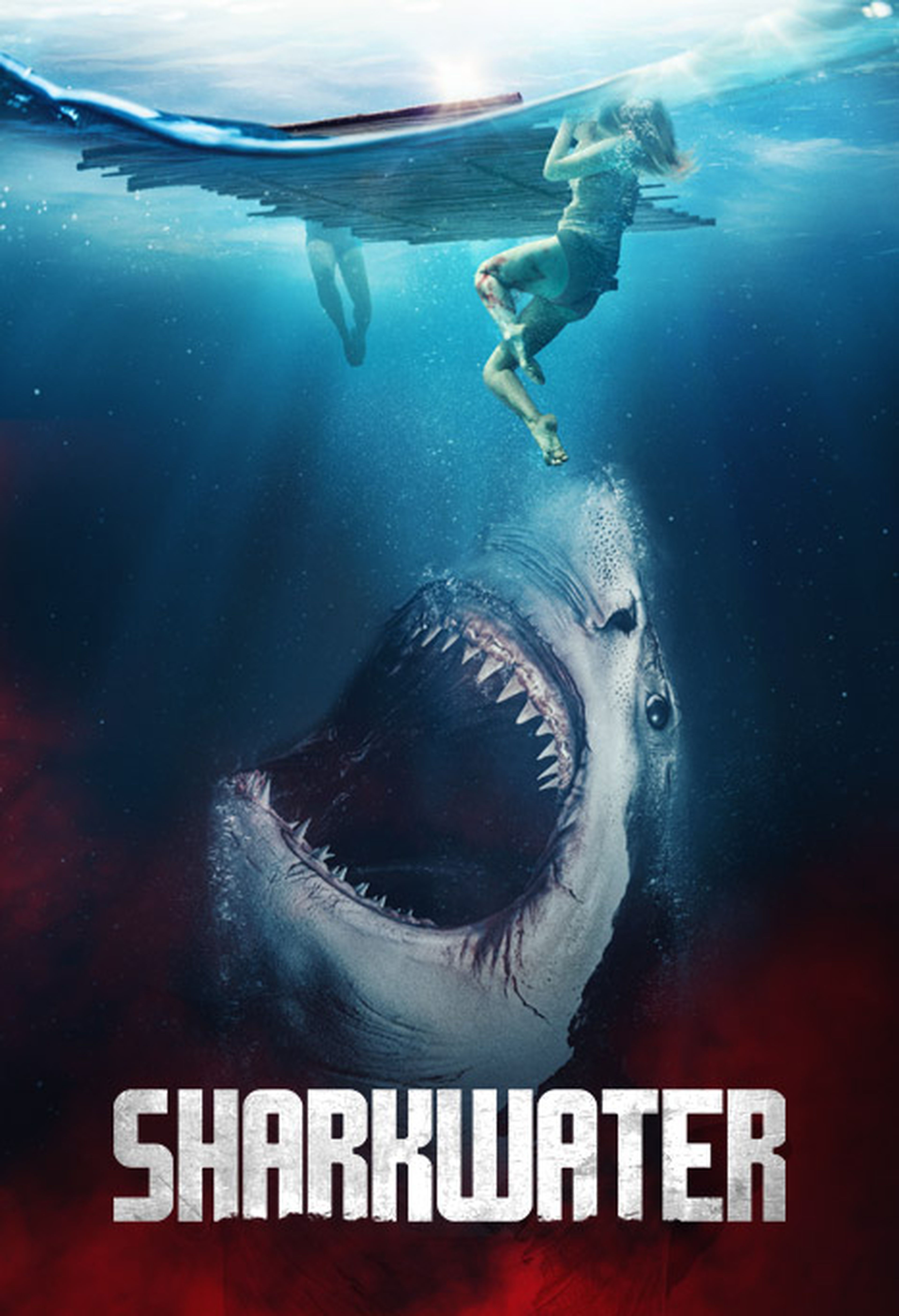 Sharkwater