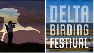 Imatge de:10 anys del Delta Birding Festival