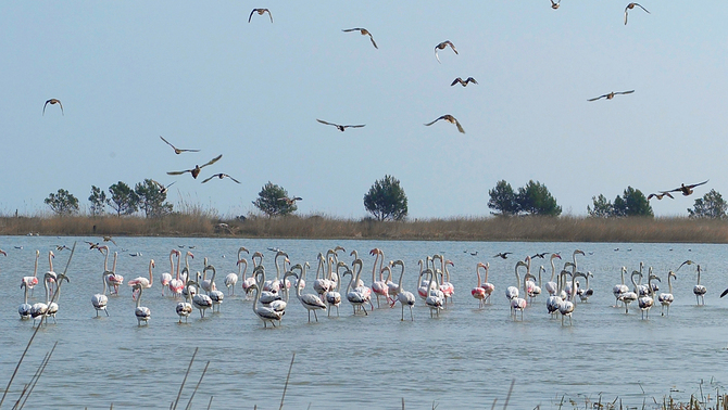 Imatge de:Ha guanyat el concurs cap de setmana al mar en família a les Terres de l'Ebre