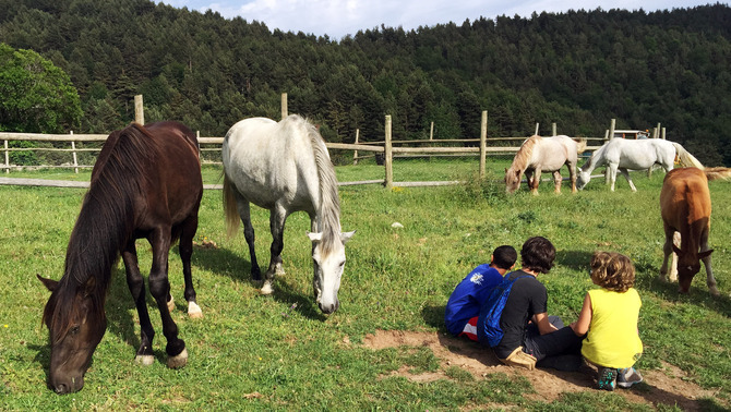 Un dia entre cavalls lliures al parc del Garraf