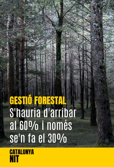 Gairebé un milió i mig d&#039;hectàrees forestals sense gestionar, el 65% del total de Catalunya