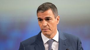 Pedro Sánchez 