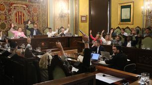 Declaració institucional al ple de la Paeria de Lleida per instar l'Estat a protegir l'Horta de les línies MAT