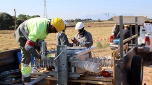 Endesa adapta en dos anys 1.500 suports elèctrics per evitar que les aus s'electrocutin