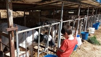 Granja Cal Rei a Santa Eugènia de Berga