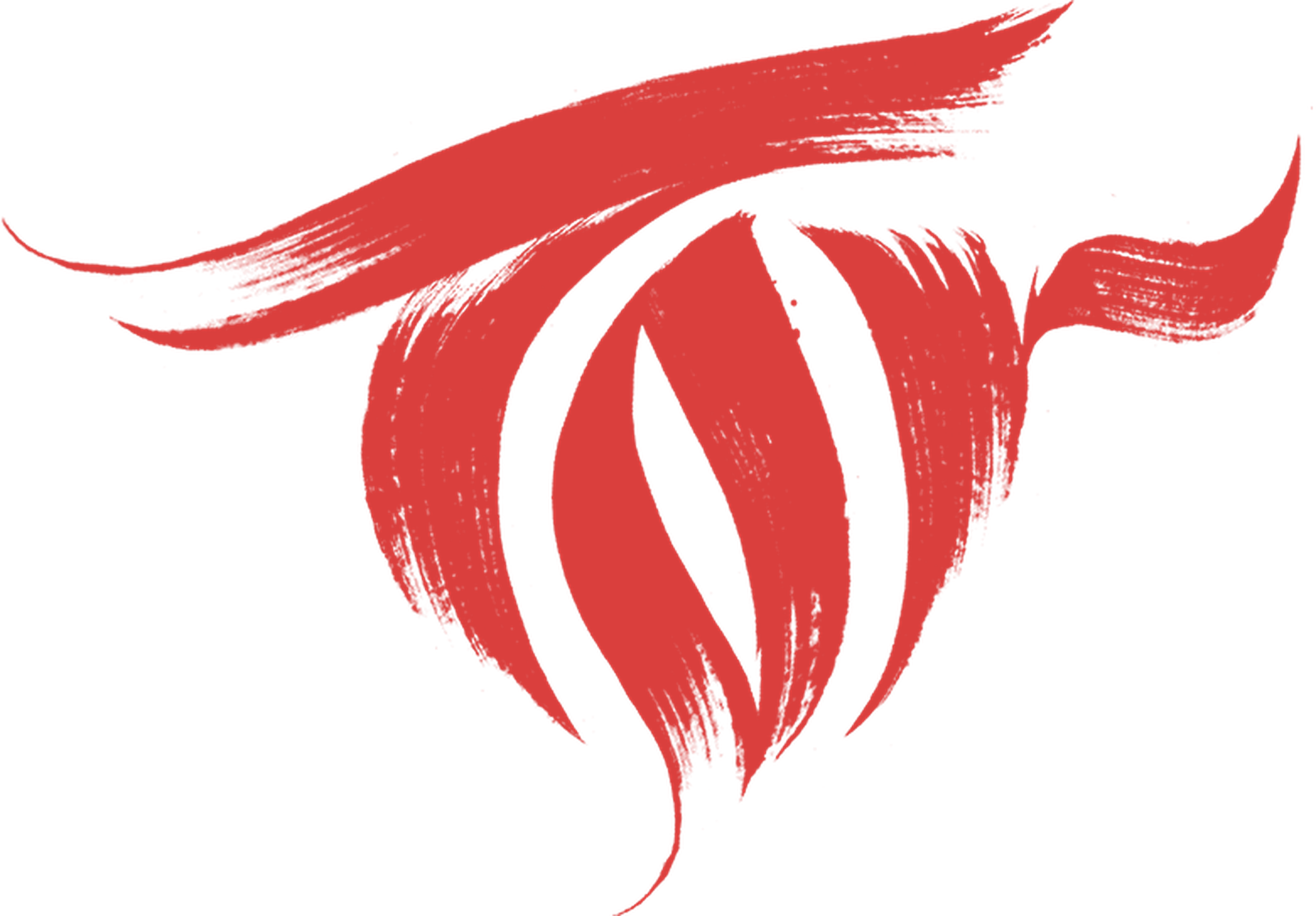 logo del programa Tor