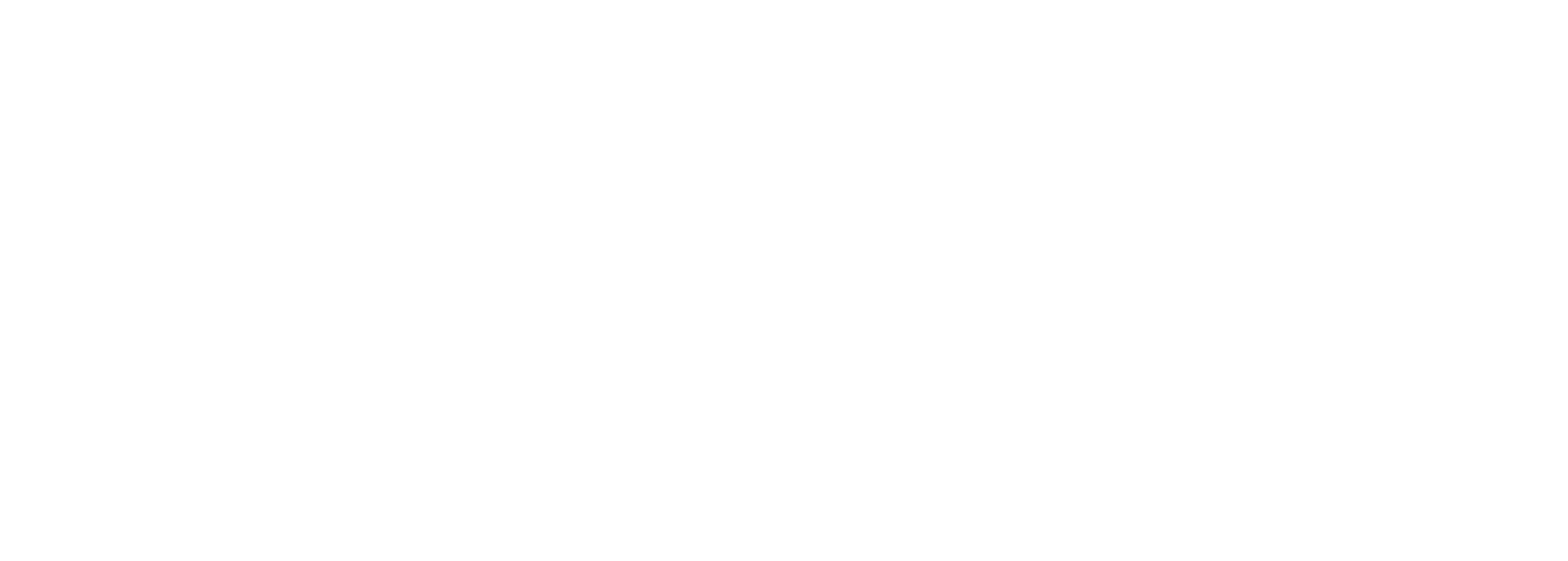 logo del programa El millor salt