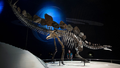 Ловец на динозаври се натъкна на находка за милиони долари