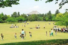 奈良公園でKーPOP無料ライブ　県の事業費2億円超に疑問の声も