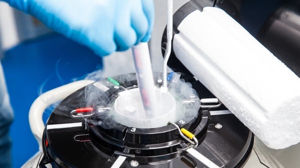 Cryogenic freezing has become more accessible in recent years
(Stock Image)