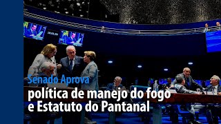 Senado Aprova: política de manejo do fogo e Estatuto do Pantanal
