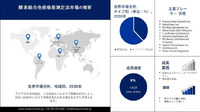 酵素結合免疫吸着測定法市場 2036 : 業界規模、シェア、収益成長、発展