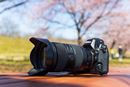 �j�R���uZ 8�v×�^�������u35-150mm F/2-2.8 Di III VXD�v�ō�˂̑��炫�����B��