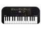 Casiotone SA-51 [�u���b�N×���C�g�O���[]