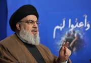 What did Hezbollah chief say about situation in Gaza?