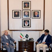 Iran firms ready to contribute to construction of Pakistan gas pipeline: Envoy