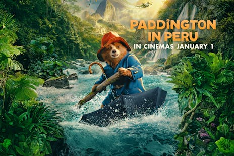 Paddington in Peru