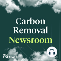 The Carbon Dioxide Removal Gap