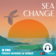 Sea Change Live! Inside the Insurance Crisis