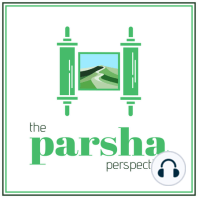 Parshas Shelach, Envision the Promise