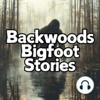 BBS EP:47 A Bigfoot Named Koda