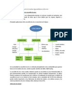 Obtención de Alcohol A Partir de Residuos Lignocelulosicos Del Arroz