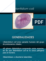 Balantidium