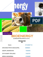 Final Bioenergy Presentation