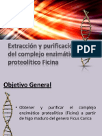 Bio Enzima Ficina